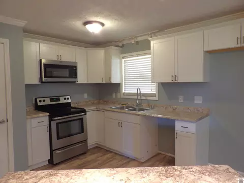 542 Lowes Rd, Cunningham, KY 42035 photo 13