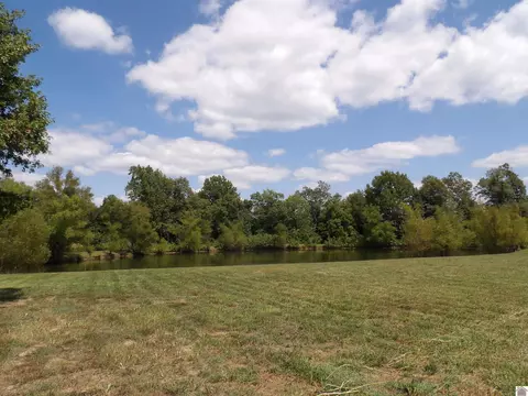 542 Lowes Rd, Cunningham, KY 42035 photo 7