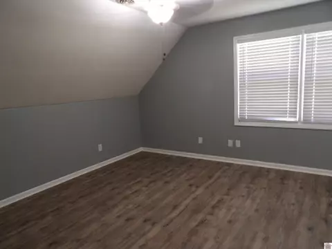 542 Lowes Rd, Cunningham, KY 42035 photo 25