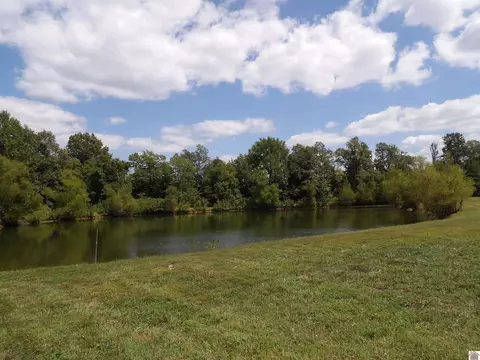 542 Lowes Rd, Cunningham, KY 42035 photo 8