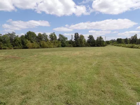 542 Lowes Rd, Cunningham, KY 42035 photo 6
