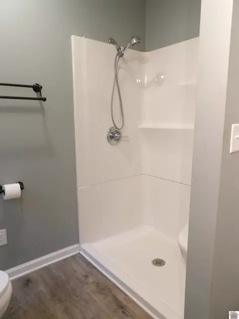 542 Lowes Rd, Cunningham, KY 42035 photo 20