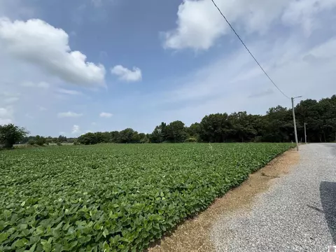 000 Spur Hitte Rd, Benton, KY 42025 photo 11