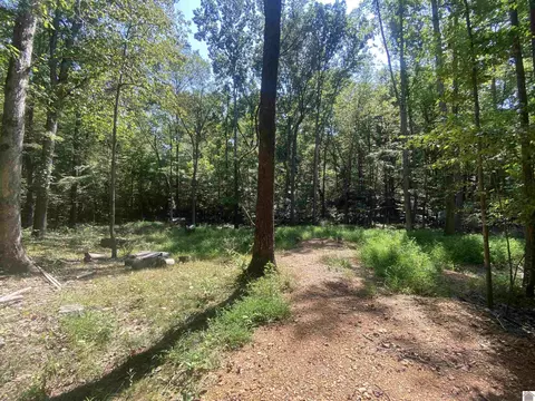 0 Lax Dr, New Concord, KY 42076