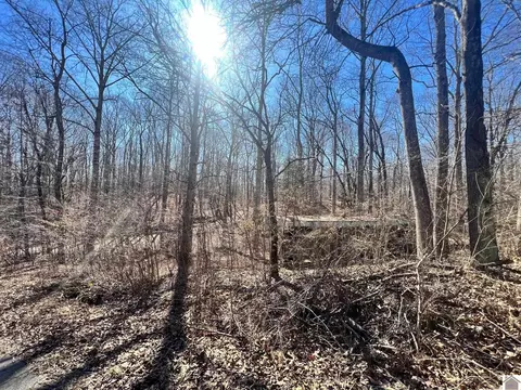 00 Ivey Dr, New Concord, KY 42076