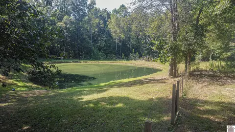 816 Mitchell Rd, Burna, KY 42028 photo 8