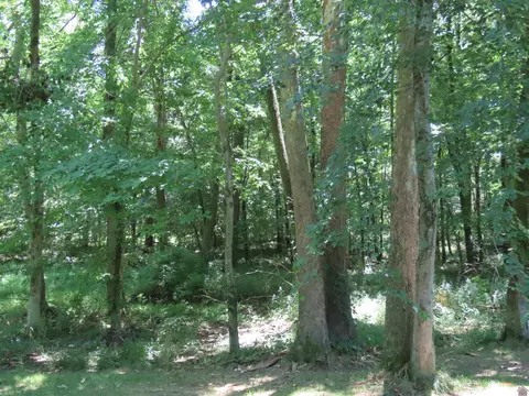 250 Stahr Rd, Fancy Farm, KY 42039