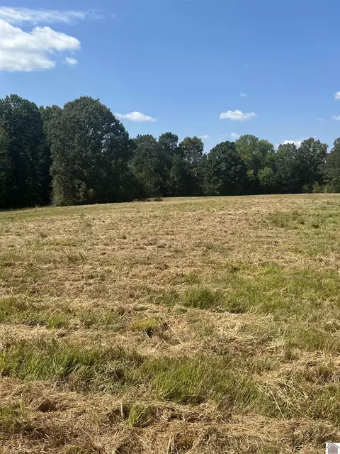 18 36 Acres On Curd Rd Aurora Hwy, Hardin, KY 42048