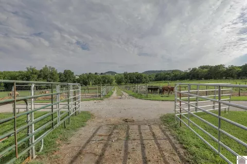 1112 Allisona Rd, Eagleville, TN 37060 photo 34