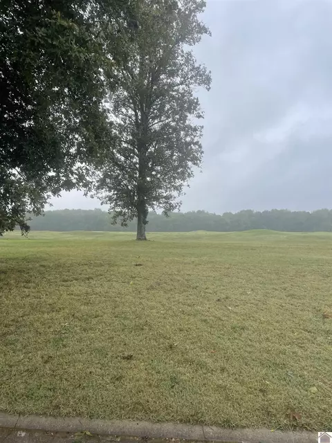 Torrey, Ledbetter, KY 42058