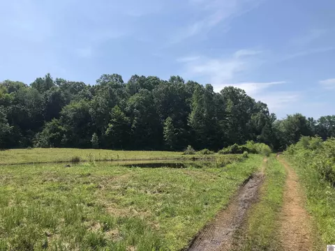124 Tan Ct, New Concord, KY 42076