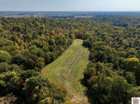000 Bluff Rd, Clinton, KY 42031 photo 21