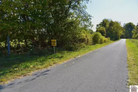 000 Bluff Rd, Clinton, KY 42031 photo 31
