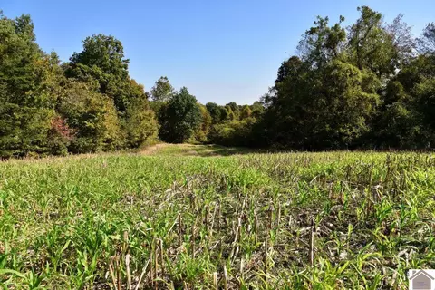 000 Bluff Rd, Clinton, KY 42031 photo 12