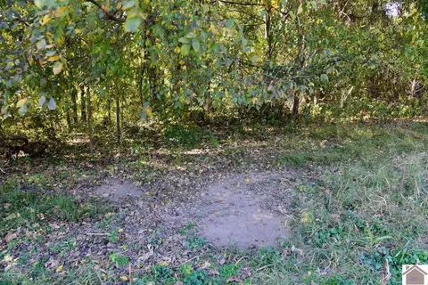 000 Bluff Rd, Clinton, KY 42031 photo 14