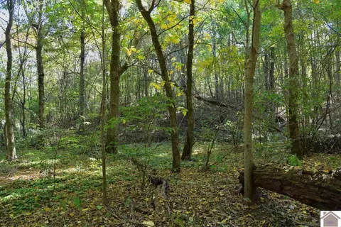 000 Bluff Rd, Clinton, KY 42031 photo 17