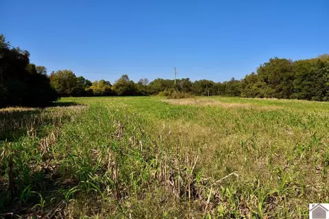 000 Bluff Rd, Clinton, KY 42031 photo 11