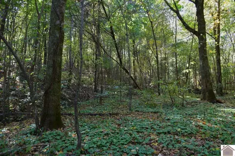 000 Bluff Rd, Clinton, KY 42031 photo 16