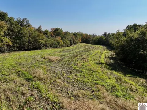 000 Bluff Rd, Clinton, KY 42031 photo 22