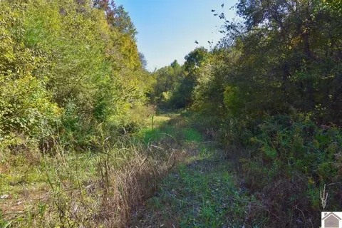 000 Bluff Rd, Clinton, KY 42031 photo 15