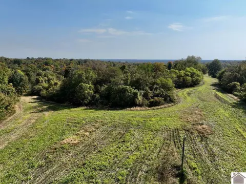 000 Bluff Rd, Clinton, KY 42031 photo 8