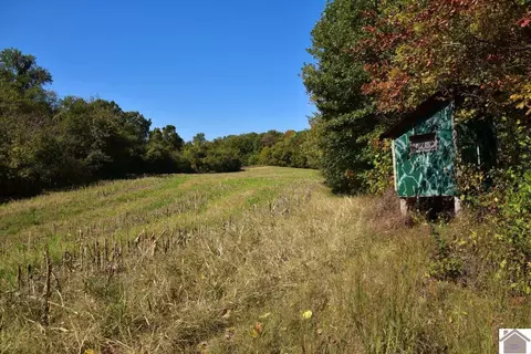 000 Bluff Rd, Clinton, KY 42031 photo 25