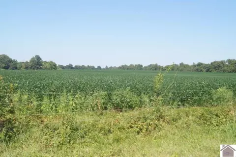3362 Hudson Rd, Fulton, KY 42041