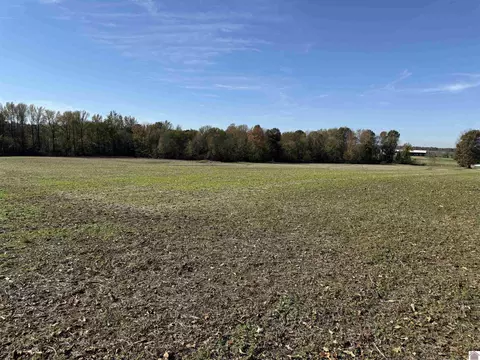 0 Morgan Road Hwy 1372, Bardwell, KY 42023
