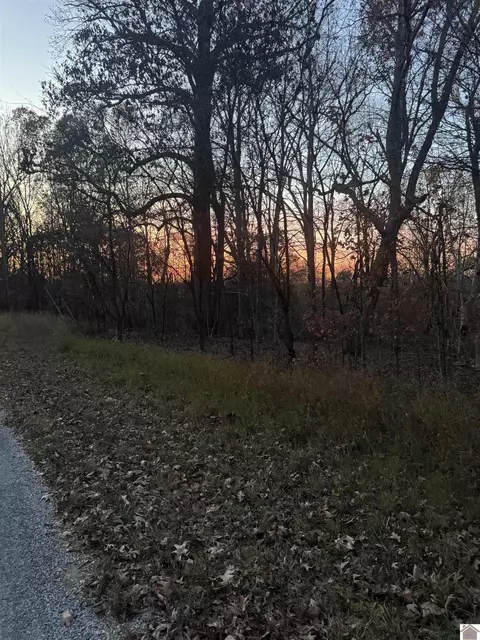 Al Henn Road, Cadiz, KY 42211
