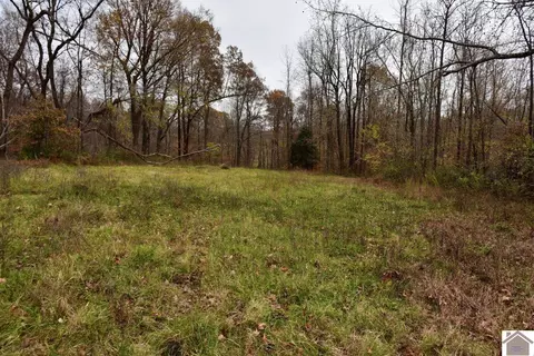 000 Beech Grove Rd, Hickman, KY 42050 photo 26