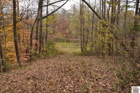 000 Beech Grove Rd, Hickman, KY 42050 photo 11