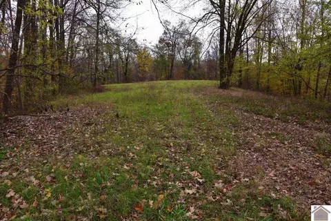 000 Beech Grove Rd, Hickman, KY 42050 photo 3