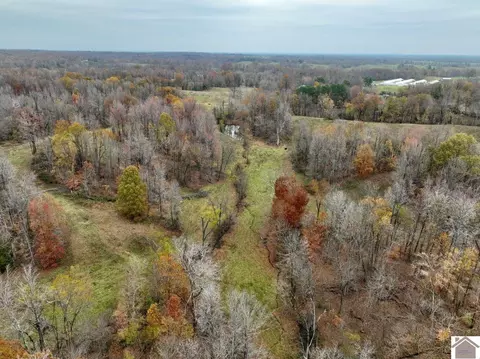 000 Beech Grove Rd, Hickman, KY 42050 photo 25