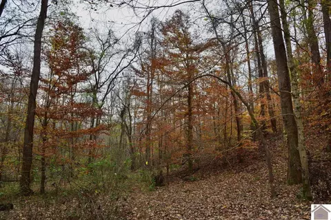 000 Beech Grove Rd, Hickman, KY 42050 photo 9
