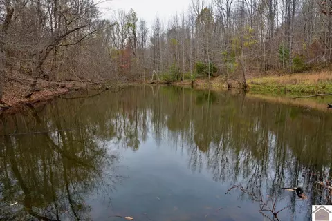 000 Beech Grove Rd, Hickman, KY 42050 photo 13