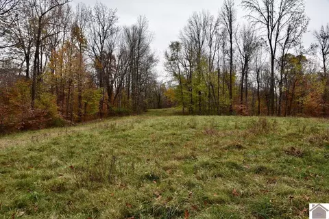 000 Beech Grove Rd, Hickman, KY 42050 photo 4