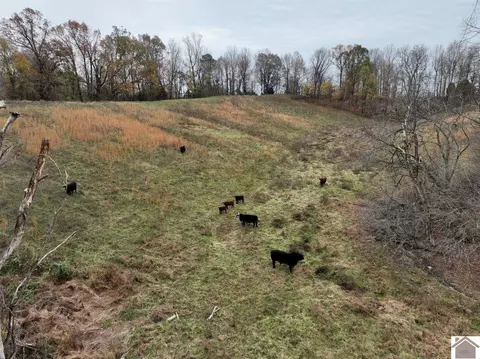 000 Beech Grove Rd, Hickman, KY 42050 photo 22