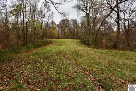 000 Beech Grove Rd, Hickman, KY 42050 photo 2