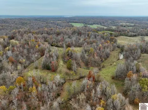 000 Beech Grove Rd, Hickman, KY 42050 photo 30