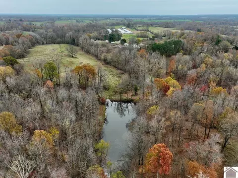 000 Beech Grove Rd, Hickman, KY 42050 photo 15