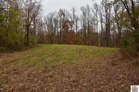 000 Beech Grove Rd, Hickman, KY 42050 photo 27
