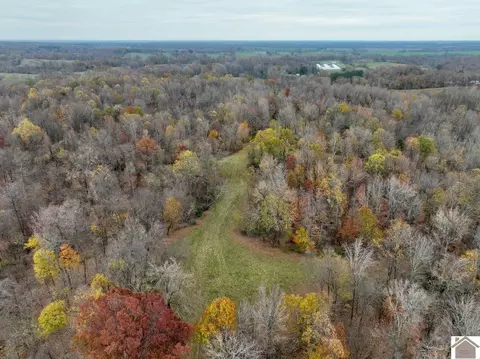 000 Beech Grove Rd, Hickman, KY 42050 photo 5