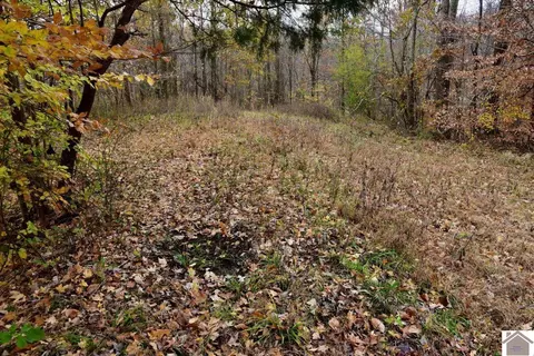 000 Beech Grove Rd, Hickman, KY 42050 photo 7