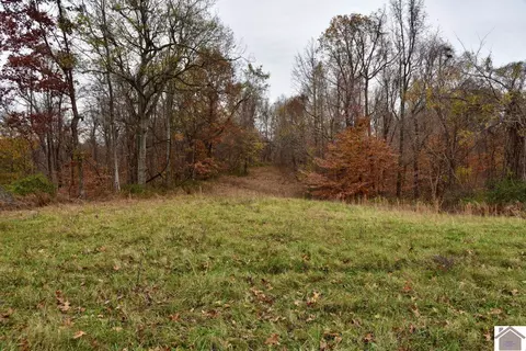 000 Beech Grove Rd, Hickman, KY 42050 photo 28