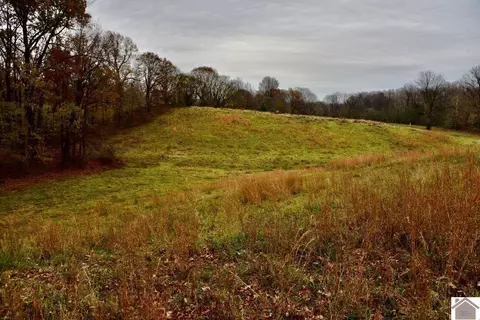 000 Beech Grove Rd, Hickman, KY 42050 photo 18