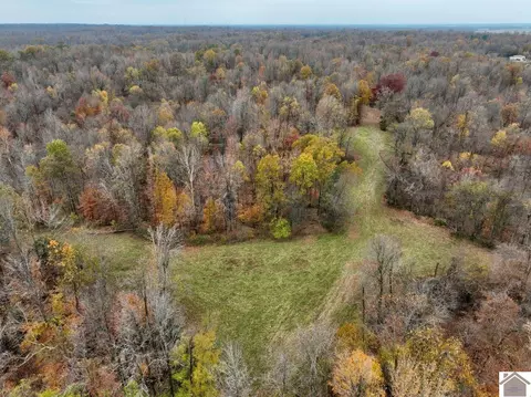 000 Beech Grove Rd, Hickman, KY 42050 photo 6