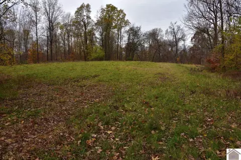 000 Beech Grove Rd, Hickman, KY 42050 photo 29