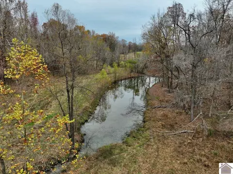 000 Beech Grove Rd, Hickman, KY 42050 photo 23