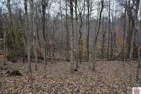 000 Beech Grove Rd, Hickman, KY 42050 photo 33