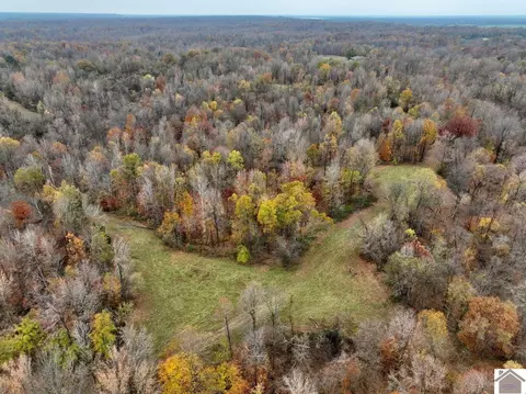 000 Beech Grove Rd, Hickman, KY 42050
